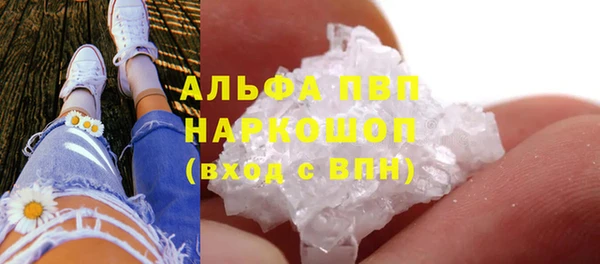 PSILOCYBIN Гусиноозёрск