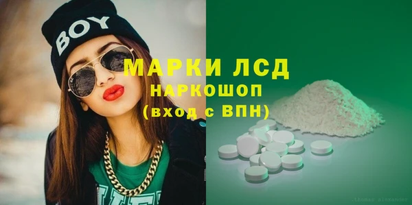 PSILOCYBIN Гусиноозёрск