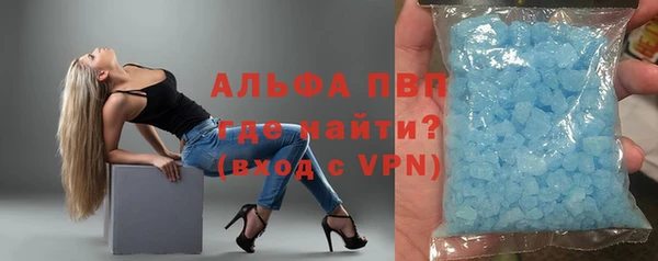 PSILOCYBIN Гусиноозёрск