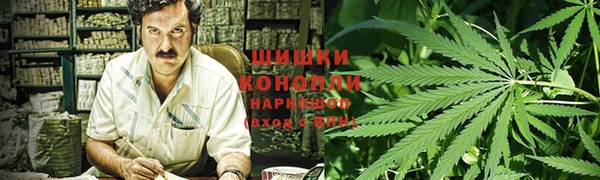 PSILOCYBIN Гусиноозёрск