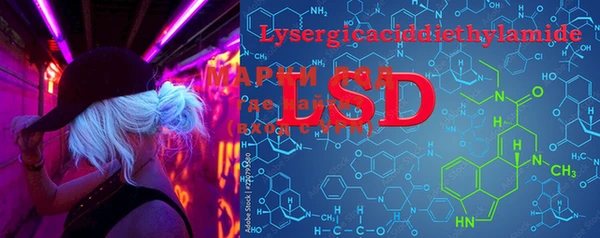 PSILOCYBIN Гусиноозёрск