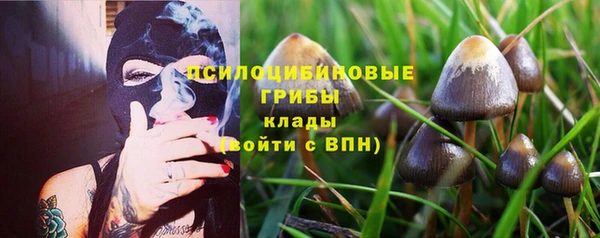 а пвп мука Гусь-Хрустальный