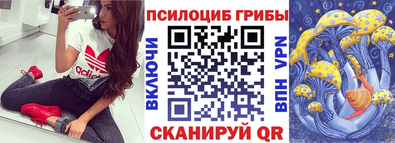 Купить где  Константиновск  Псилоцибиновые грибы Cubensis 